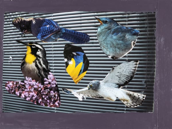 Stefan Harhaj, Birds, 2025