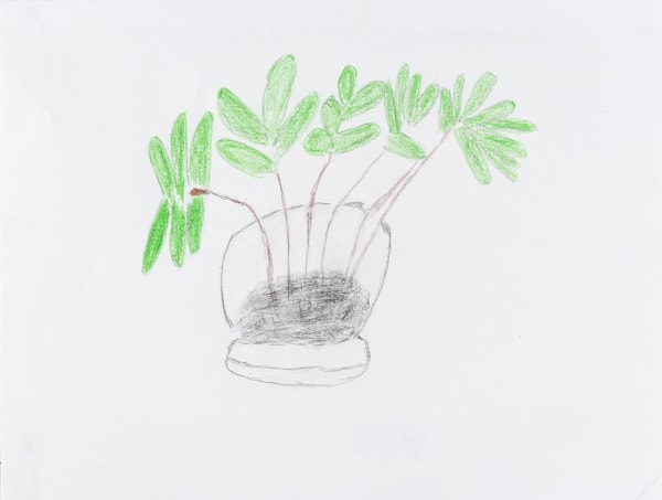 Carol Pyes, Plants in Pot , 2020