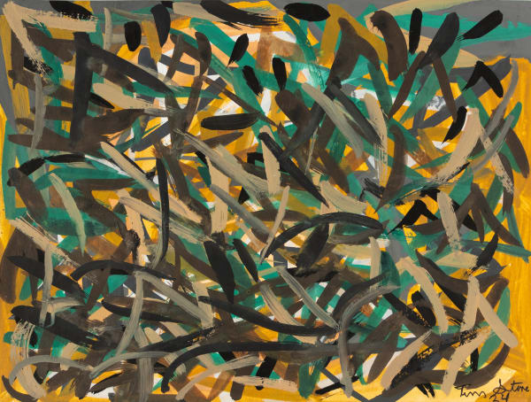 Tim Stone, Deep in the African Amazon, 2024