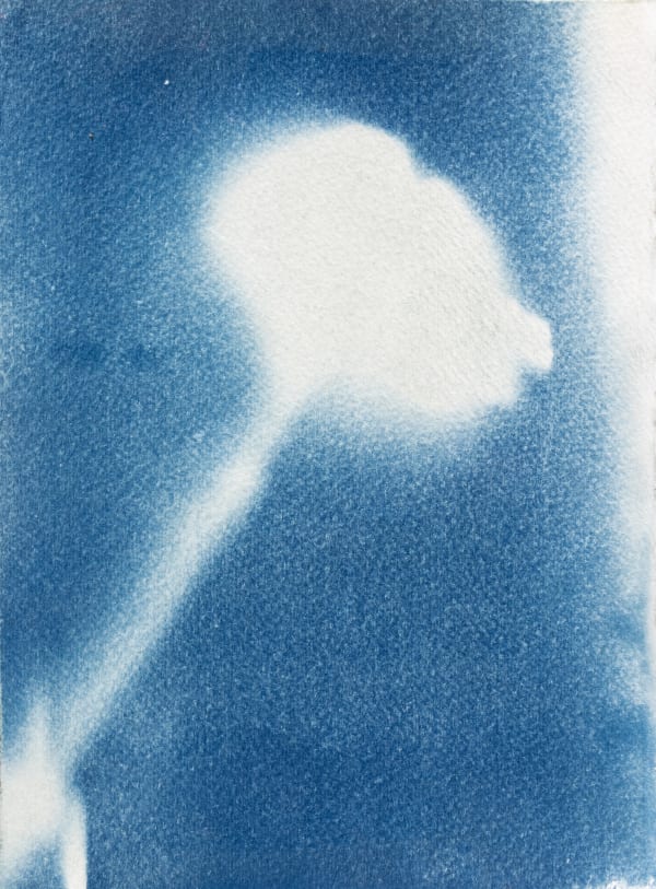 Carol Pyes, Flower, 2022