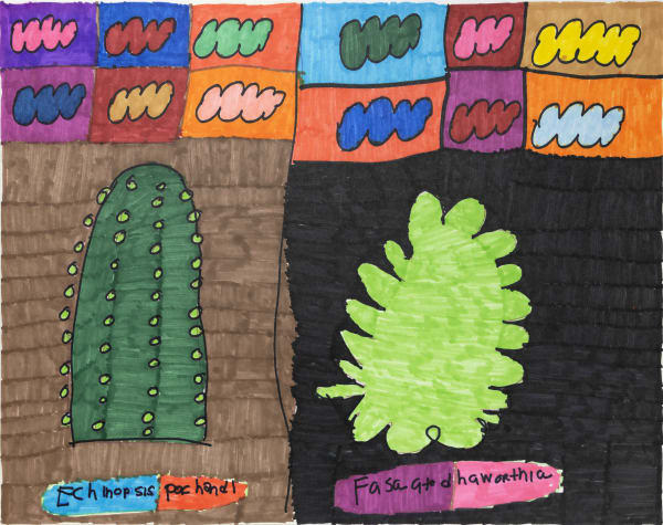 Maria Vanik, Echinopsis Pochanoi, Fasciated Hawthornia, 2021