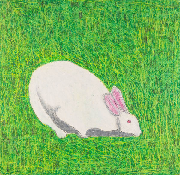 Jack O'Sullivan, Rabbit in the Grass, 2018
