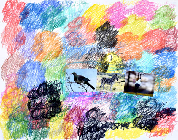 Lawrence M., Plains Zebra, 2022