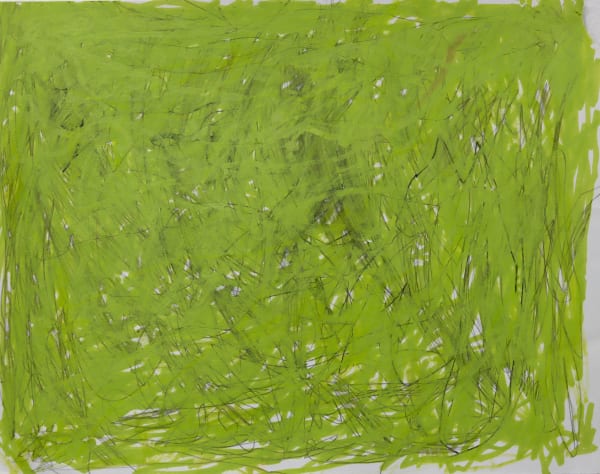 Sam Filicky, Forest, 2023