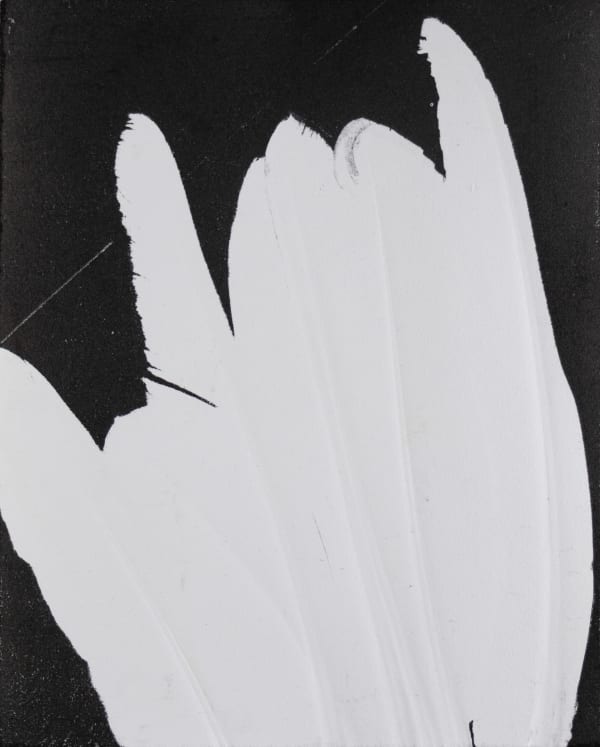 Joshi Radin Flores, A Hand or a Foot, 2025