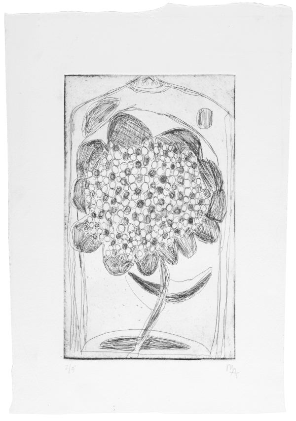 Marcelo Añón, Untitled (Flower), n.d.