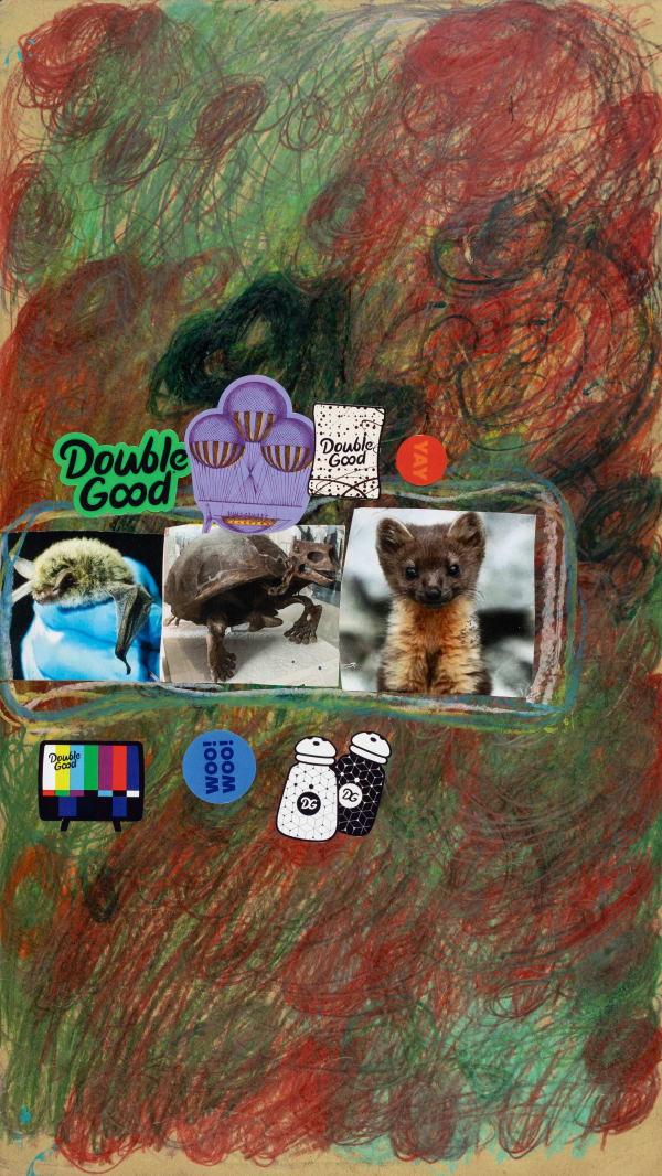 Lawrence M., Green Northern Bat, 2025