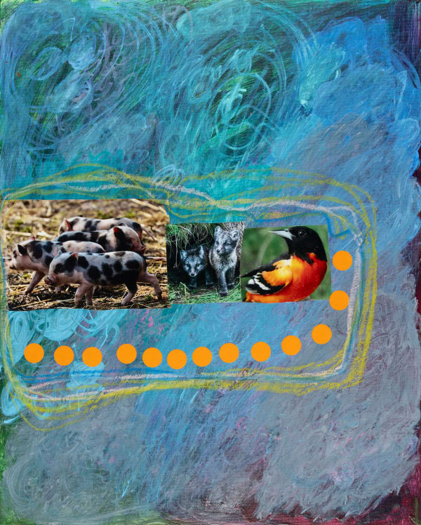 Lawrence M., Black + Orange + White Oriole, 2025