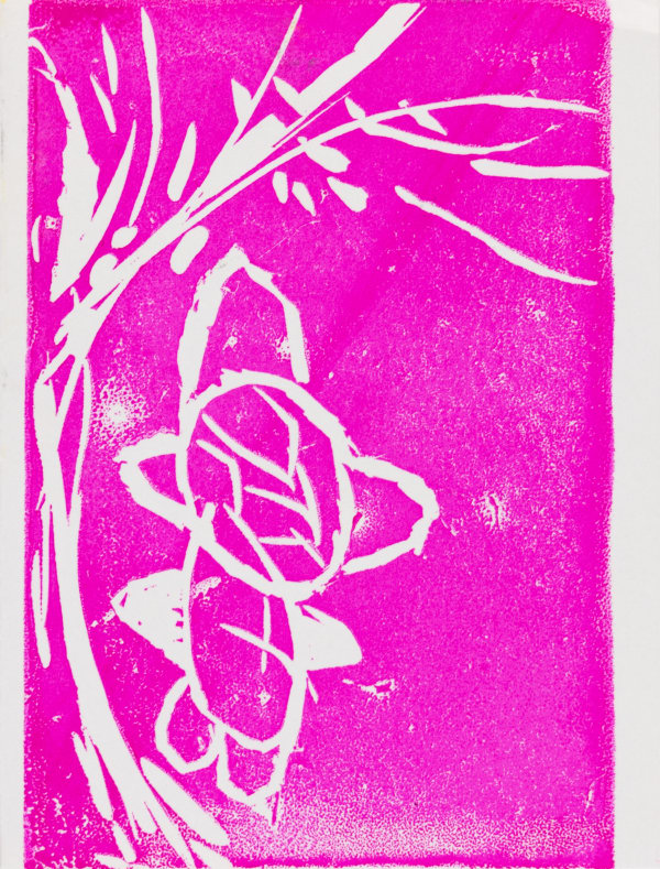 Maria Vanik, Untitled (Pink Prints), n.d.