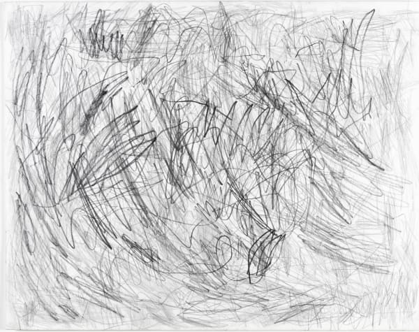 Sam Filicky, Graphite, 2024