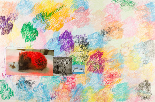 Lawrence M., Red Amber Hedgehog, 2022