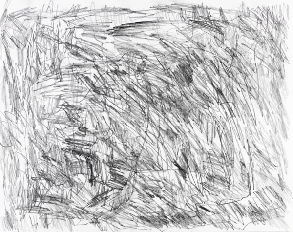 Sam Filicky, Graphite Drawing I, 2024