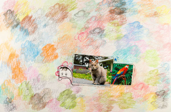 Lawrence M., The Backyard Cat, 2022