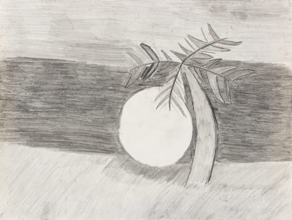 Alysha Kostelny, Cabo San Lucas , 2023