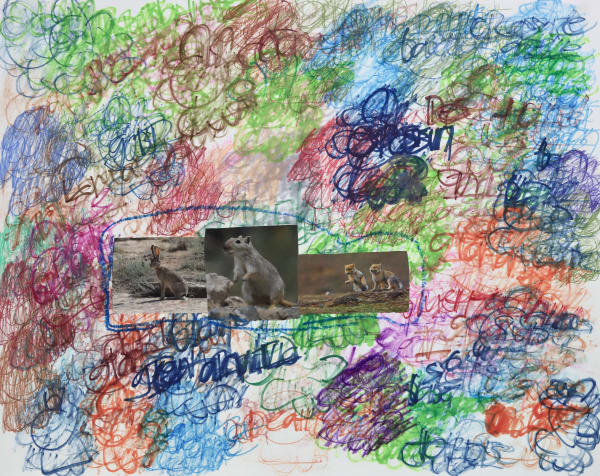 Lawrence M., Baby Sand Fox, 2022