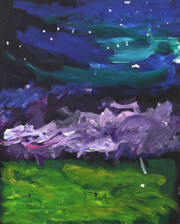 Amanda Gantner, The Galaxy of America, 2019