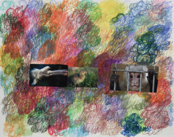 Lawrence M., Black and White Captive Monkey, 2022