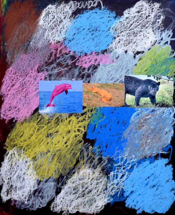 Lawrence M., Animals of the Rainbow, 2022