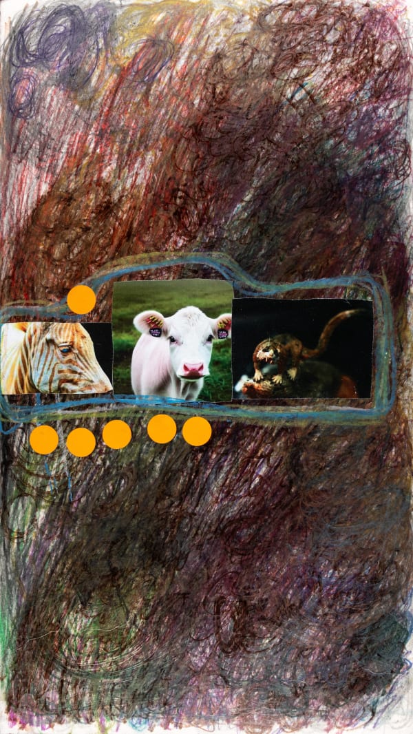 Lawrence M., Orange African Striped Zebra, 2025