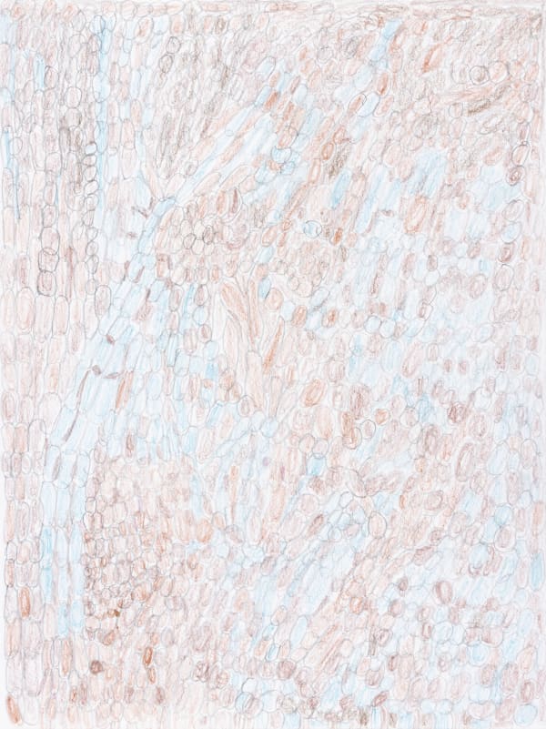 Lucy Walsh, Ella Wood, 2025