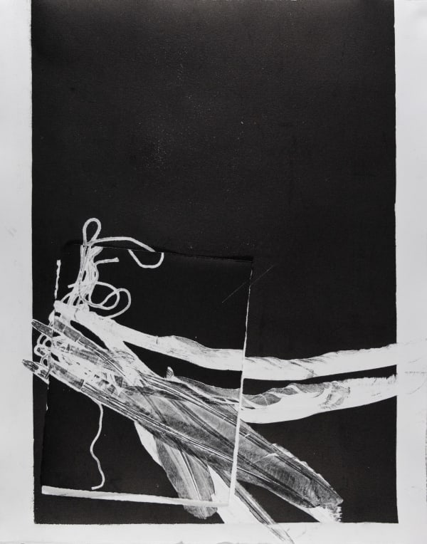 Joshi Radin Flores, if a bird flew into outer space and became roadkill and needed an x-ray, 2025