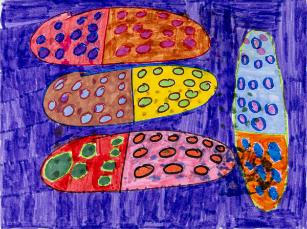 Maria Vanik, Corn Virus, n.d.