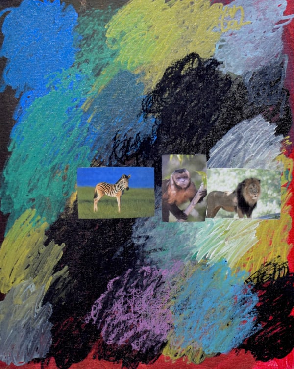 Lawrence M., Hooded Capuchin Monkey, 2022