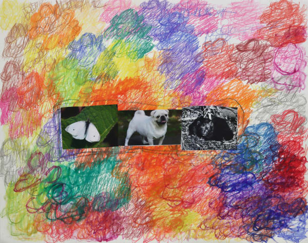 Lawrence M., White pug dog, 2022