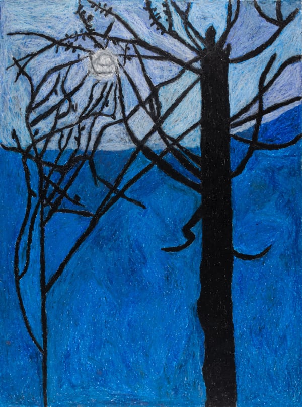 Jack O'Sullivan, Coon Tree, 2016