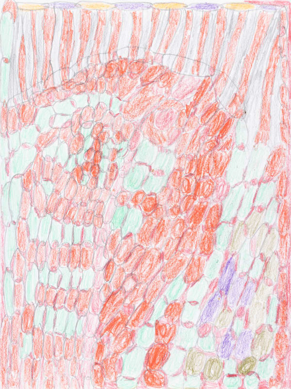 Lucy Walsh, Claire, 2025