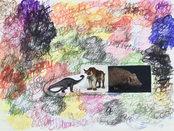 Lawrence M., Madagascar Hedgehog, 2022