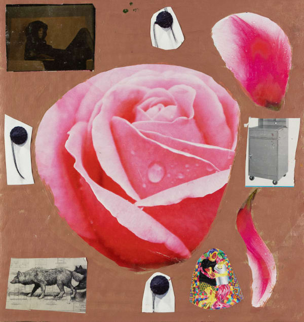 Stefan Harhaj, Flower, 2024