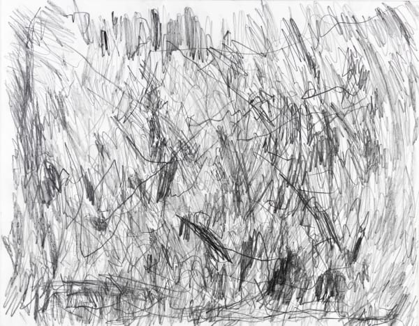 Sam Filicky, Graphite Series #5, 2024