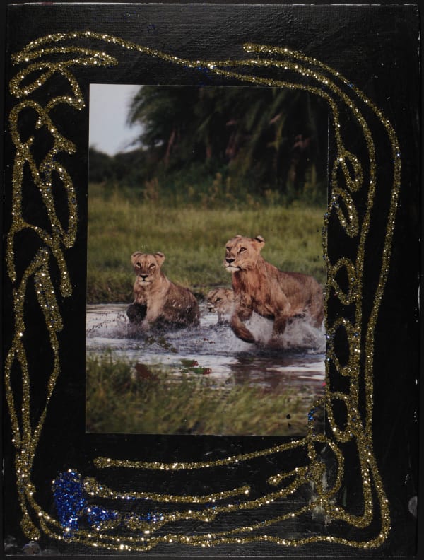 Lawrence M., Baby Yellow African Lion Roar, 2019