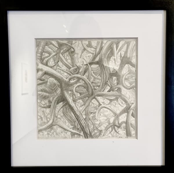 Ann Ekstrom, Flying Dragon 2, 2022