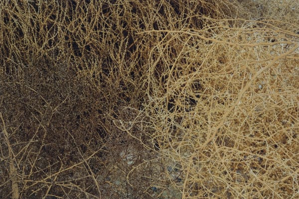 Matt Clark and William Greiner, The Space Between #14, 2021