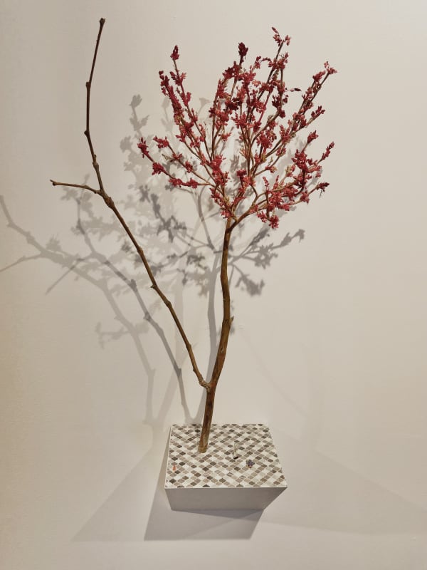 Robert McAn, Rear View Mirror, 2022