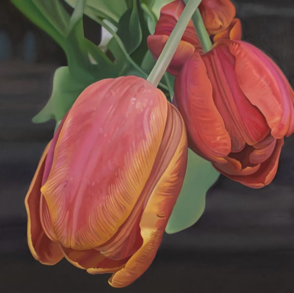 John Hartley - Spring Tulips, 2025