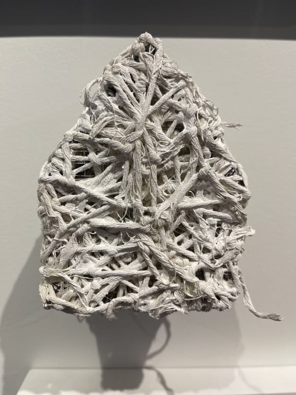 Carol Benson, Wrapped House