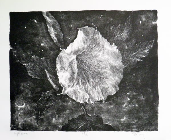Suzanne Gentling, NIGHTBLOOM, 1999