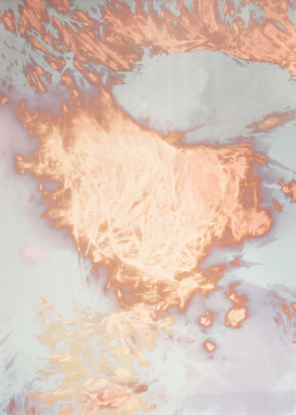 Stephanie Gerhart, Perspiration Study (Hairline), 2019