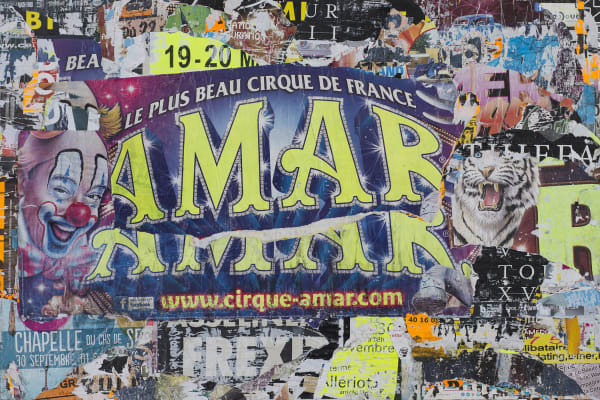 William Greiner, AMAR CLOWN, 2020