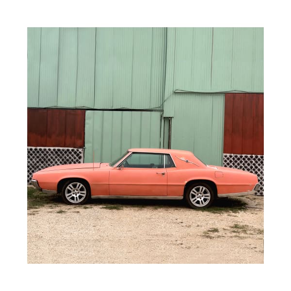 Jill Johnson, Peach, 2019