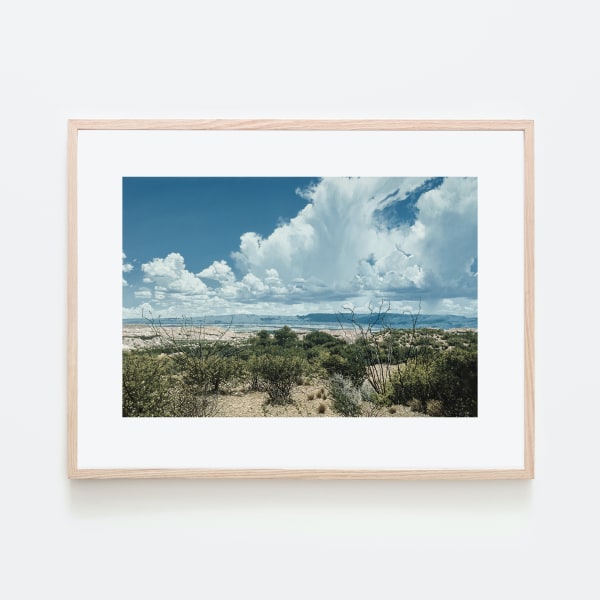 Dennis Blagg, Dry Ocotillos