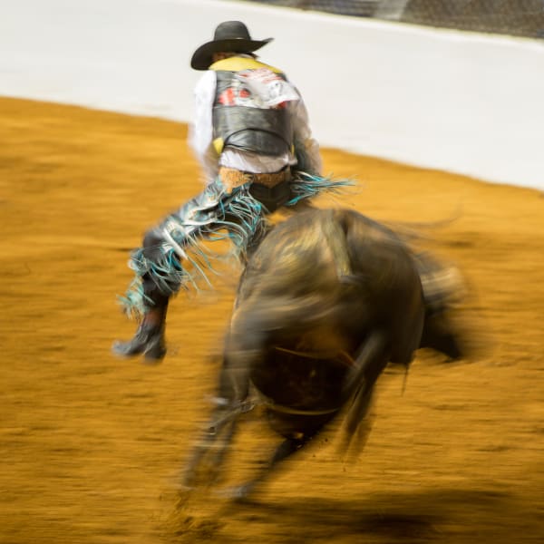 Rima Canaan Lee, Turquoise Chaps, 2014