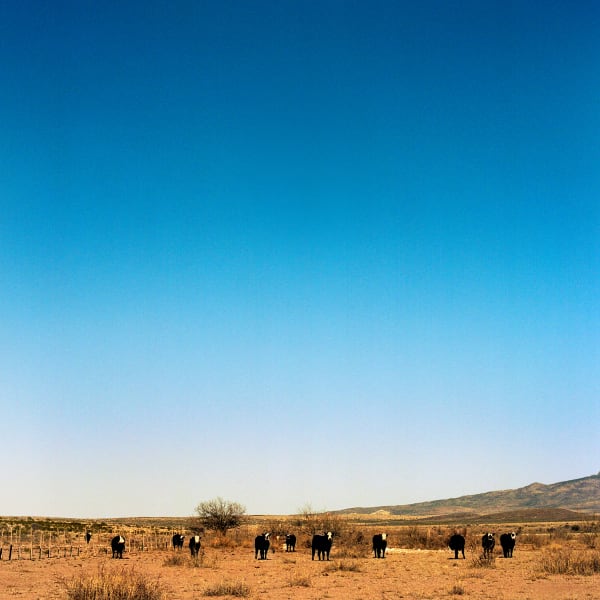 Jill Johnson, Black Baldy