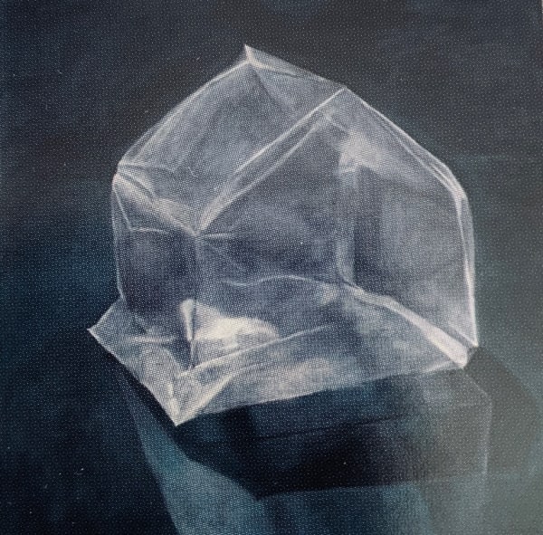 Carol Benson, Protected