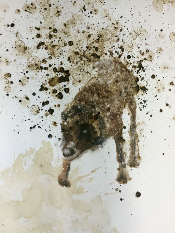 Cindee Klement, shake shake shake chocolate II, 2015