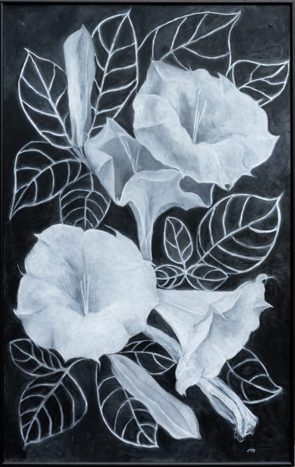 Carol Benson, Datura Series I, 2023