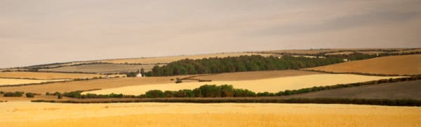 Dennis Blagg, Farm Land, 2015